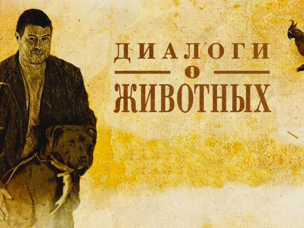 Диалоги о животных (2)