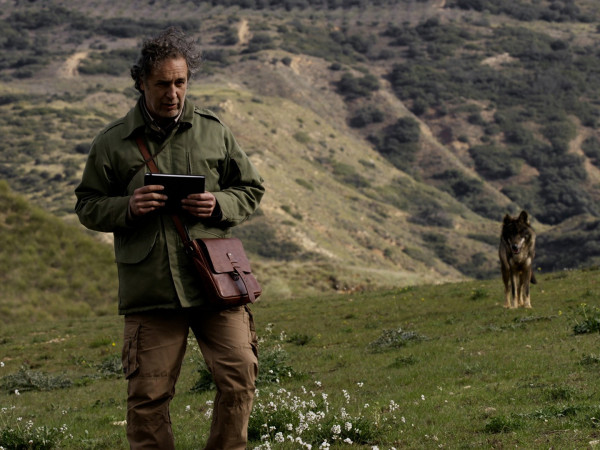 Дневник дикой природы