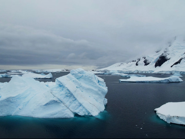 Антарктида. В поисках спасения (2)