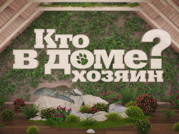 Кто в доме хозяин? (2)
