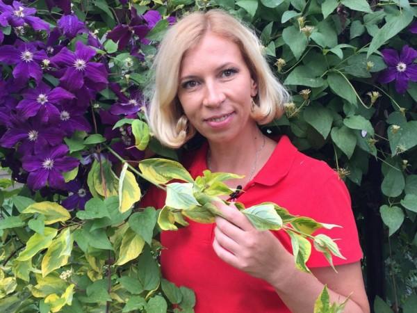 Дачные радости с Виталием Декабревым (2)