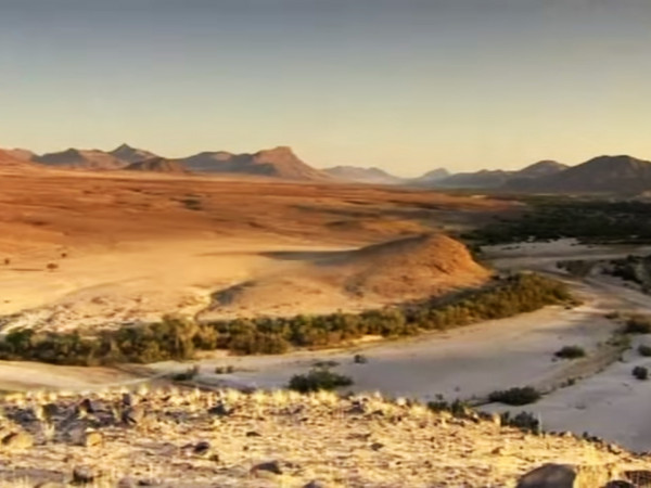 Пустыни и жизнь