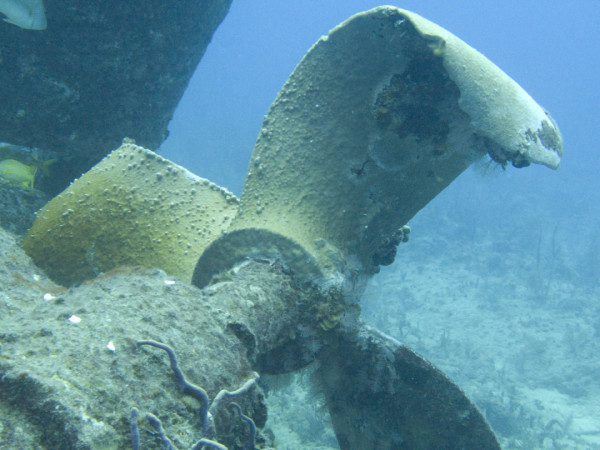 Тайна пропавшей подлодки