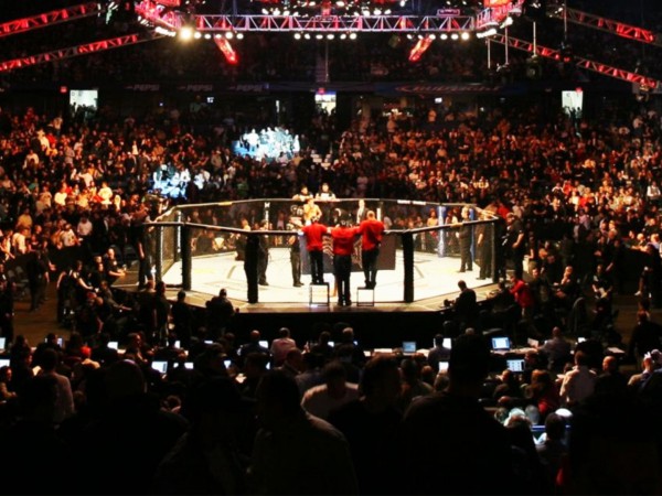 Смешанные единоборства. RCC 12