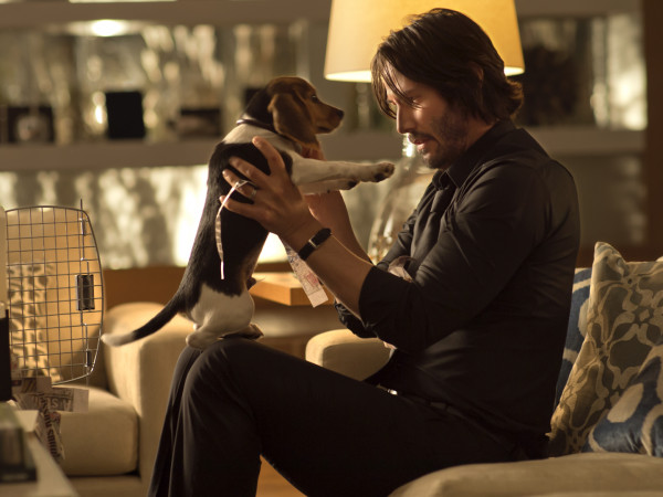 Мир Джона Уика