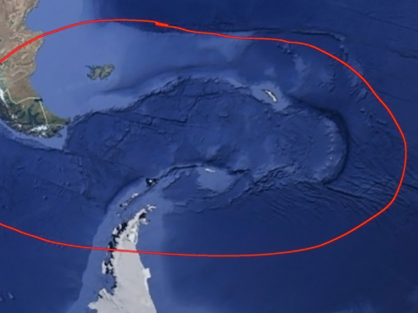 Новая реальность