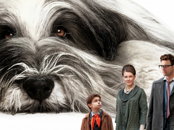 Каждый мечтает о собаке