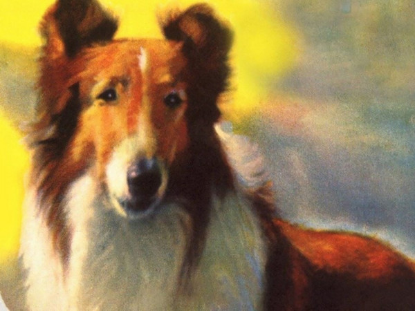 Лесси в разрисованных холмах