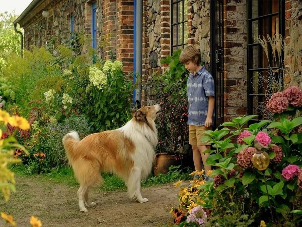 Лесси — лохматый детектив