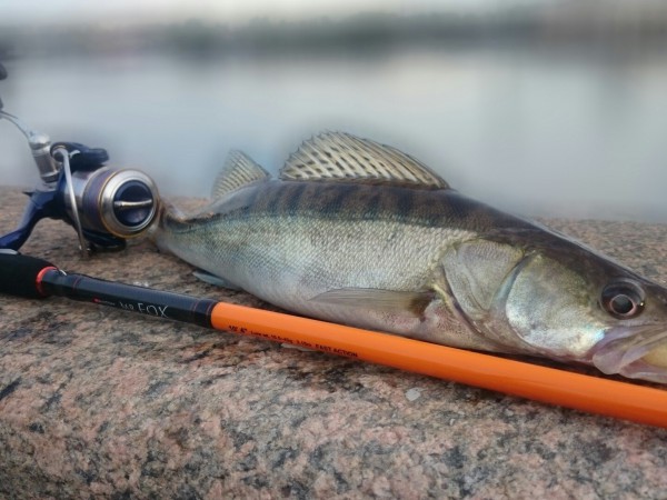 Добыть и выжить (2)