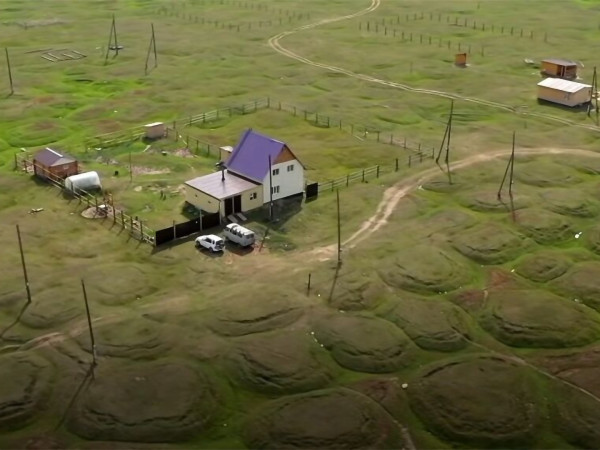 Оттаявший мир