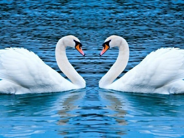 Планета любви