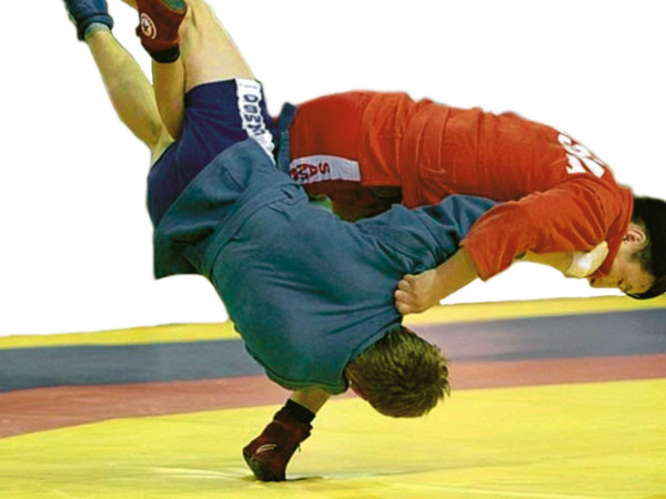 Самбо. Кубок Основоположников самбо