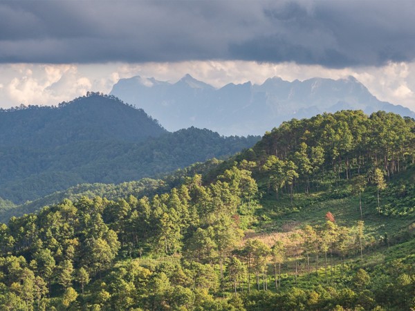 Таиланд: путь Дао