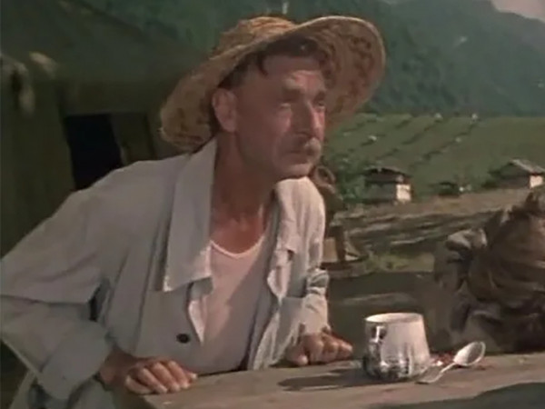 Золотые яблоки