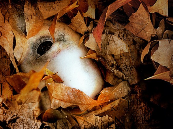 Алфавитный убийца