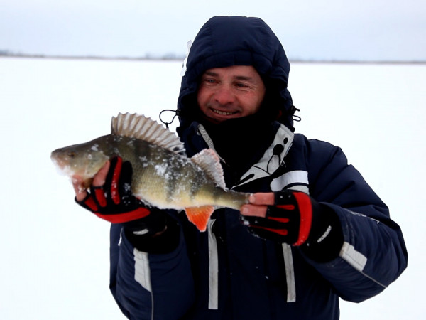Зима. Удочка. Поклевка (2)