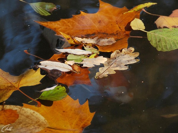 Сезон рыбалки