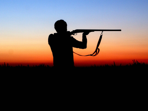 Дикий Маныч