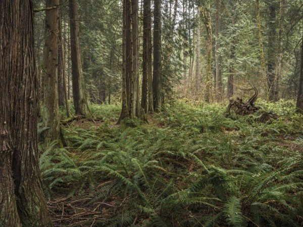 Дом дикой природы Пажо