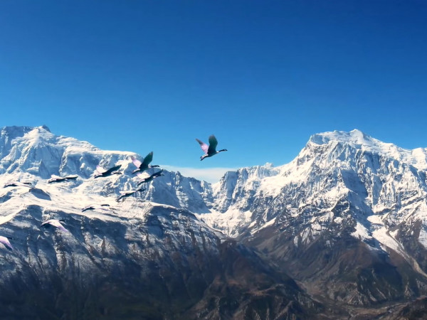 Корея 5000 лет выживания