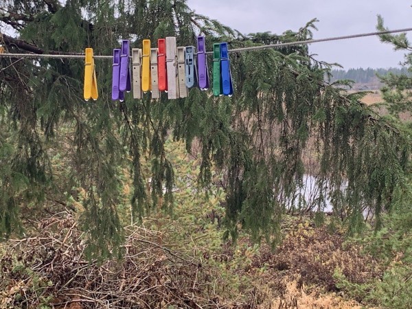 Сурские истории