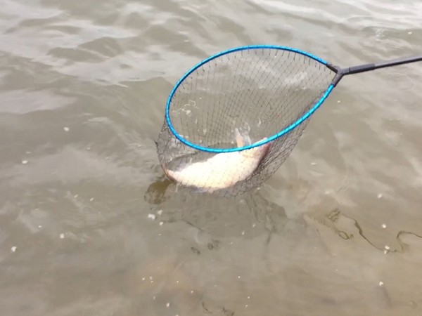 Рыбалка с Владимиром Николаевым