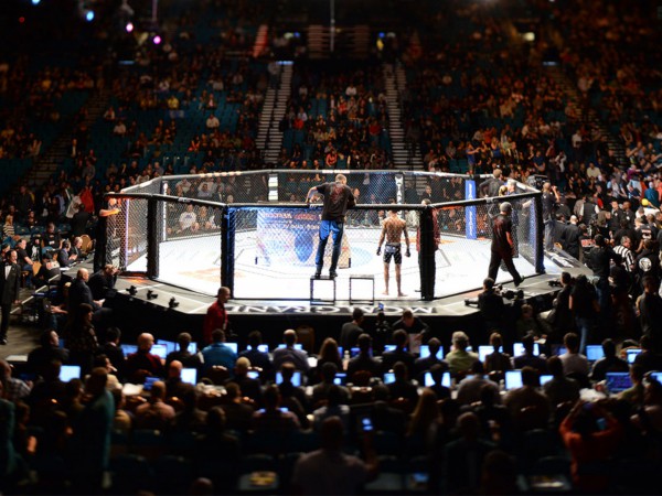 Смешанные единоборства. NAIZA FC 76