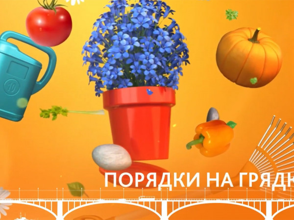 Порядки на грядке