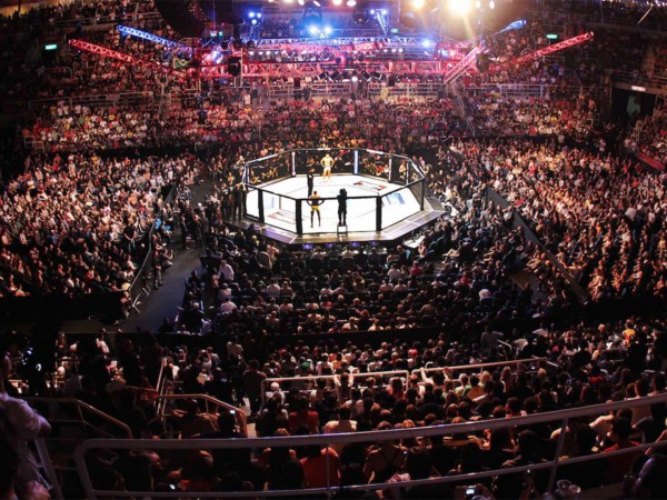 Бойцовское шоу Кулак. Сезон-2024