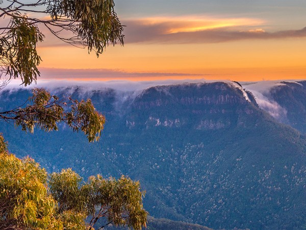 Чудеса дикой природы Новой Англии