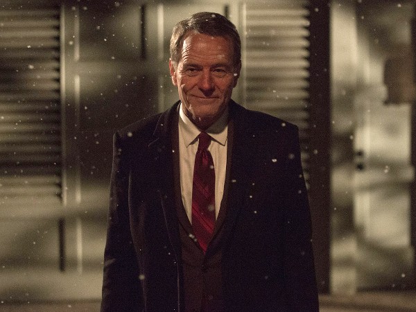 Во всем виноват енот