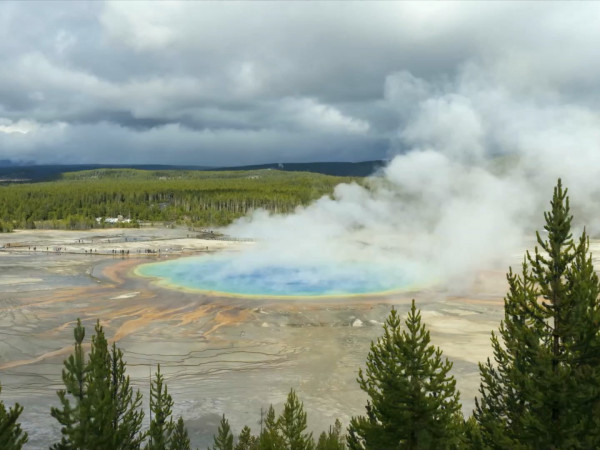 Сады чистой воды