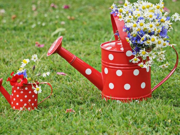 Ландшафтные решения