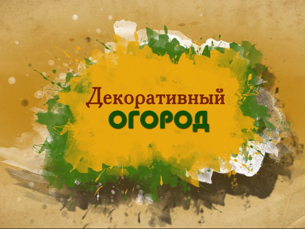 Декоративный огород (2)