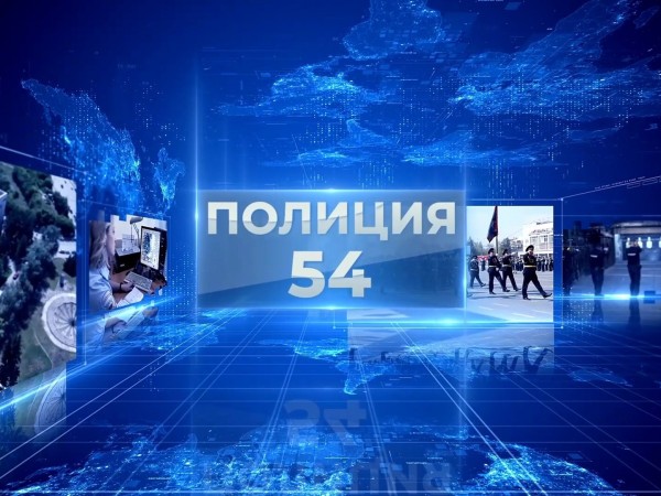 Полиция 54