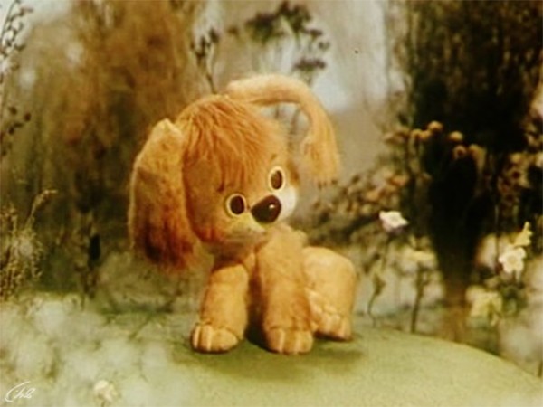 Как щенок учился плавать