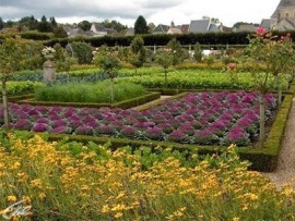 Декоративный огород