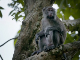 Крепкие семейные узы