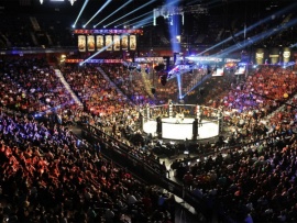 Смешанные единоборства. NAIZA FC 74