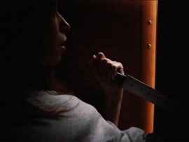 Чокнутая домохозяйка