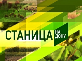 Станица-на-Дону