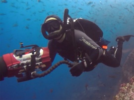 Под водой с акулами