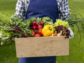 Вершки-корешки