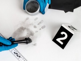 Громкие преступления