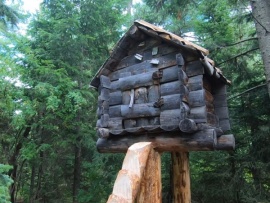 Удивительное рядом