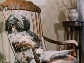 Барбос в гостях у Бобика