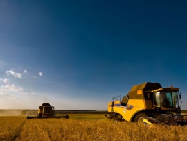 Битва за урожай. Посев семян