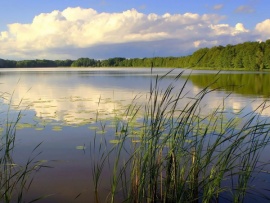 Рыбачим с вами