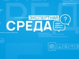 Экспертная среда